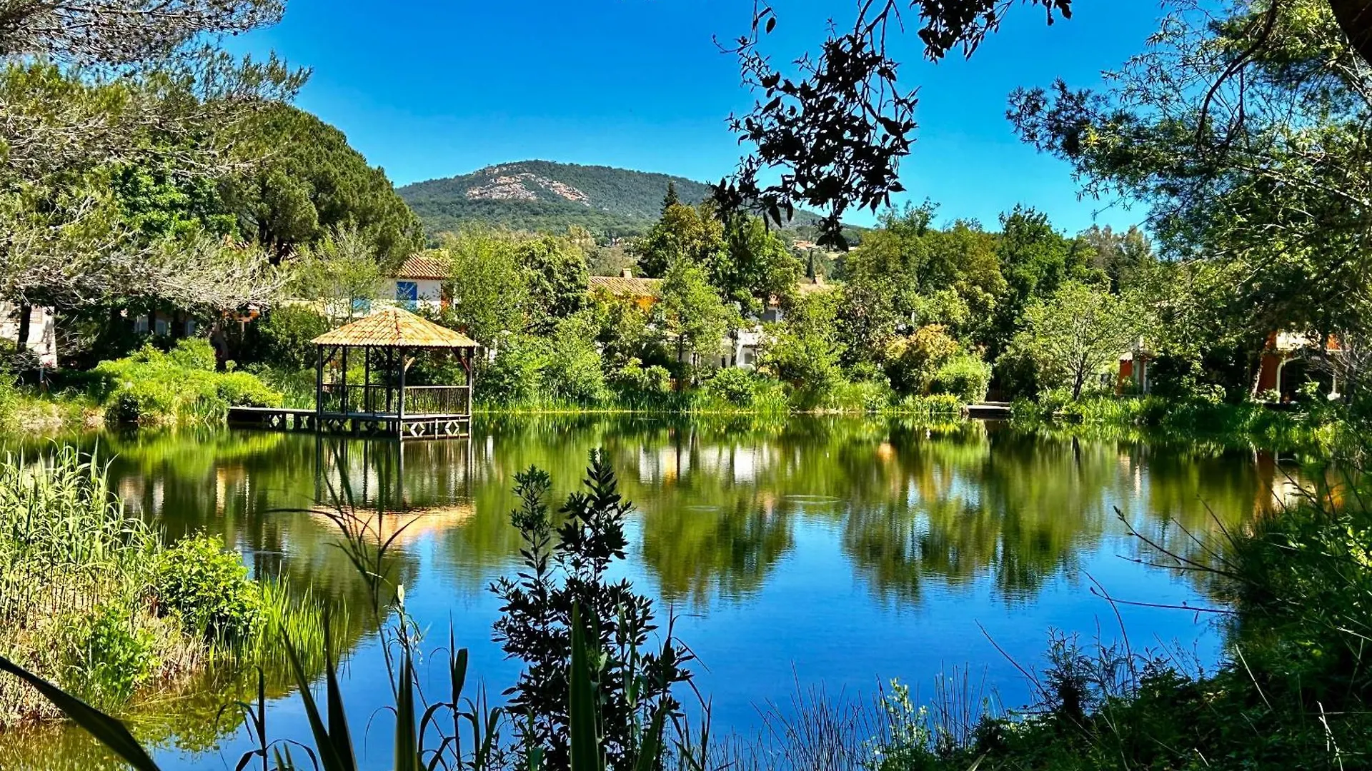 Les Restanques 1030 Arum Rez De Jardin Grimaud France